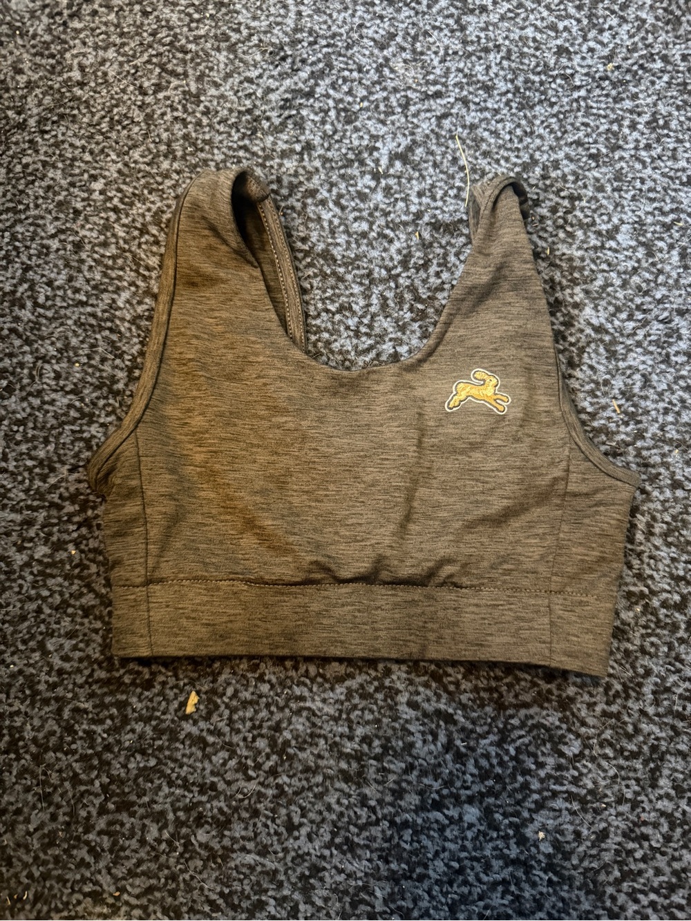 NWOT Tracksmith sports bra